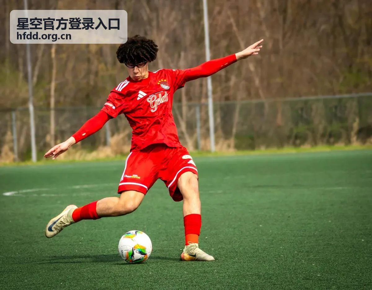 星空官方登录入口地址核对示意图